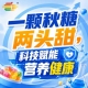 相聚金陵金秋，第115届秋季糖酒会，食饮新愿景，脚踏实地
